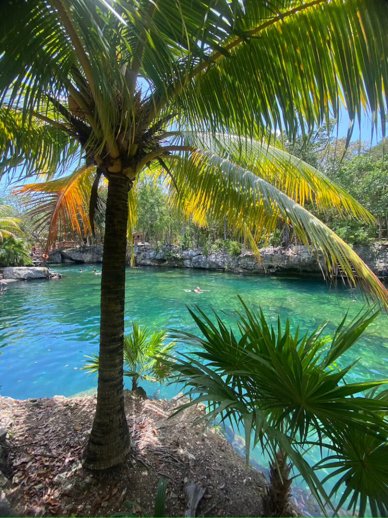 cenote-piscine naturelle-voyage-mexique
